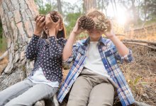 Children playing with pine cones in forest
